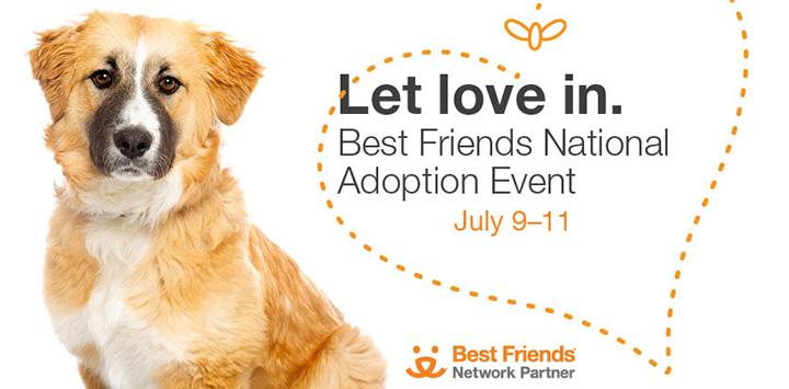 Brown dog with some white and black next to text, Let love in. Best Friends National Adoption Event July 9-11