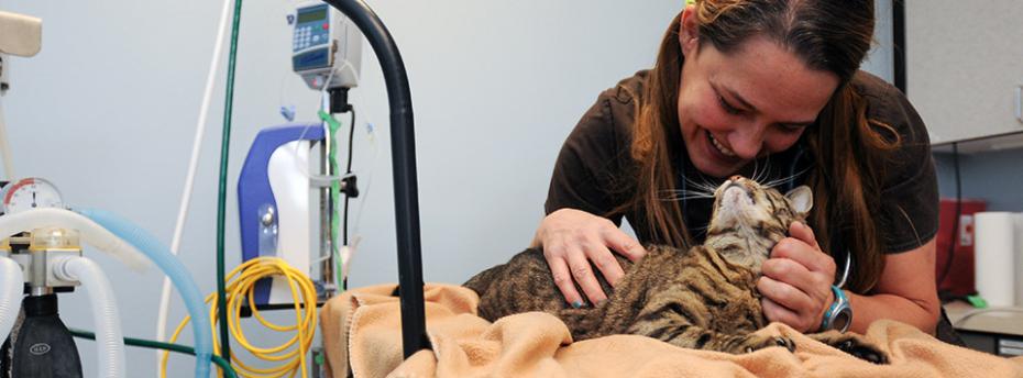Smiling woman looking down at a brown tabby cat sitting on a veterinary table