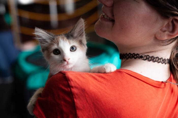 kitten on woman's shoulder