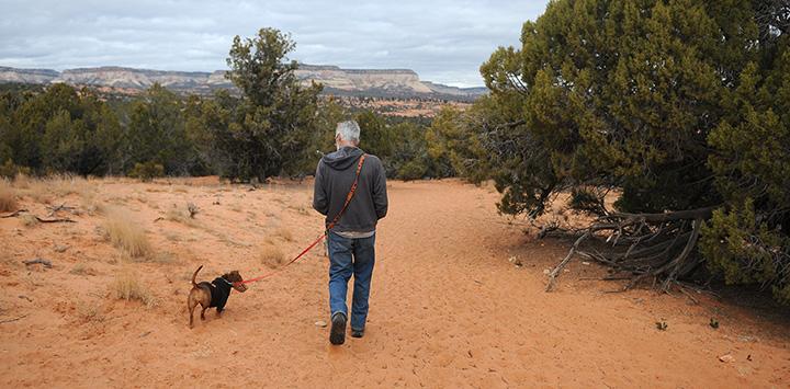 Man and dog hiking on a sand trail with trees around them