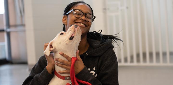 Smiling woman getting kissed in the face by a white pit-bull-type dog