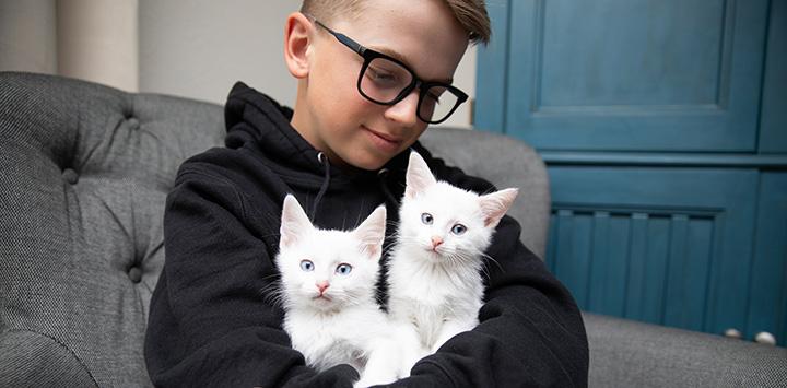Kid holding two white foster kittens