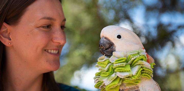 Smiling woman next to a cockatoo wearing a protective fabric "cone" around his neck