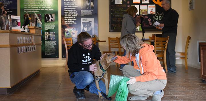 Two women interacting with a dog at the Best Friends Welcome Center