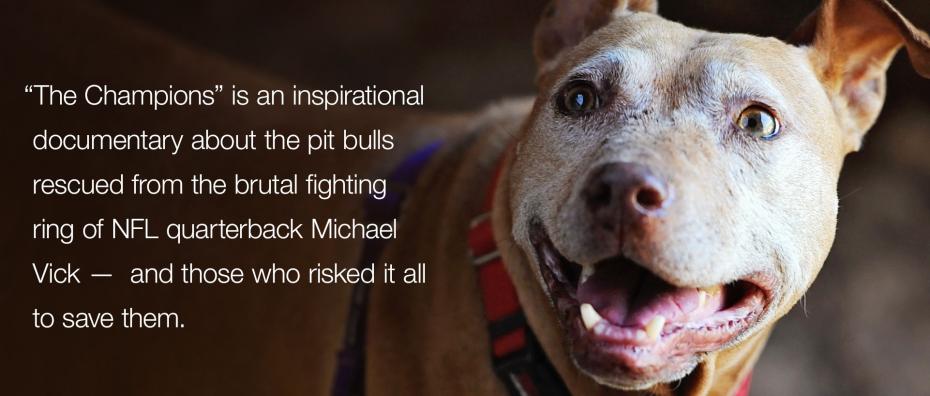 The Champions is an inspirations film about the pit bull seized from Michael Vick's property.