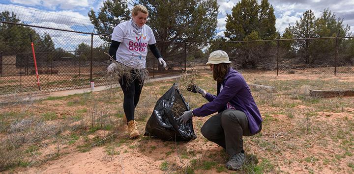 Two volunteers picking up brush outside at Best Friends Animal Sanctuary