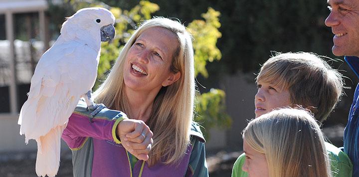 Volunteer holding a white parrot at Parrot Garden