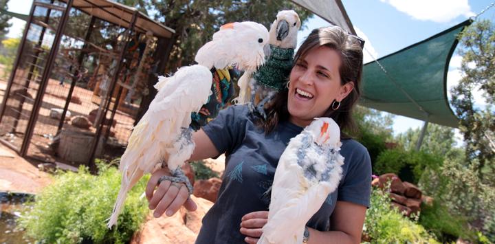 Woman holding two cockatoos