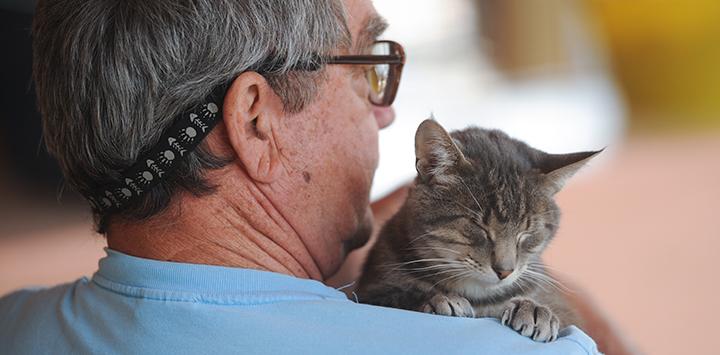 Man with his tabby cat. He has elected to make a planned gift of his retirement assets to help animals in need.