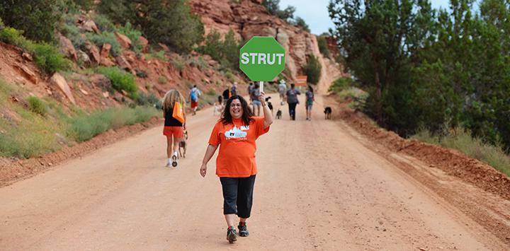 Strut Your Mutt event volunteers on the road at Best Friends Animal Sanctuary where the fundraising walk takes place.
