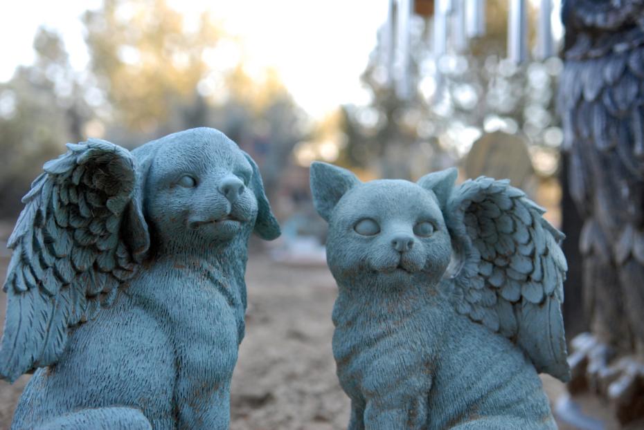 Cat and dog angel statues at Angels Rest