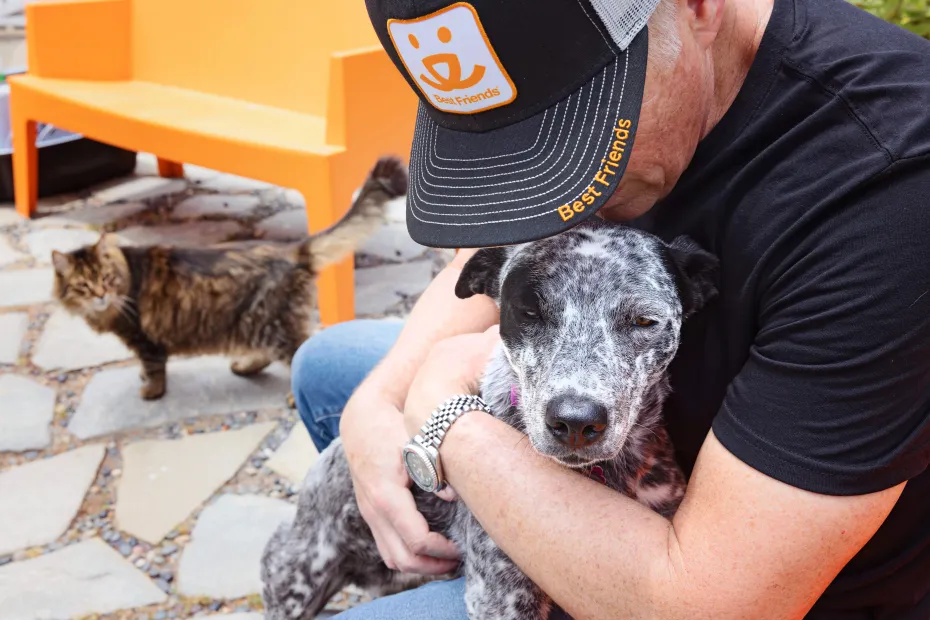 Person hugging their dog