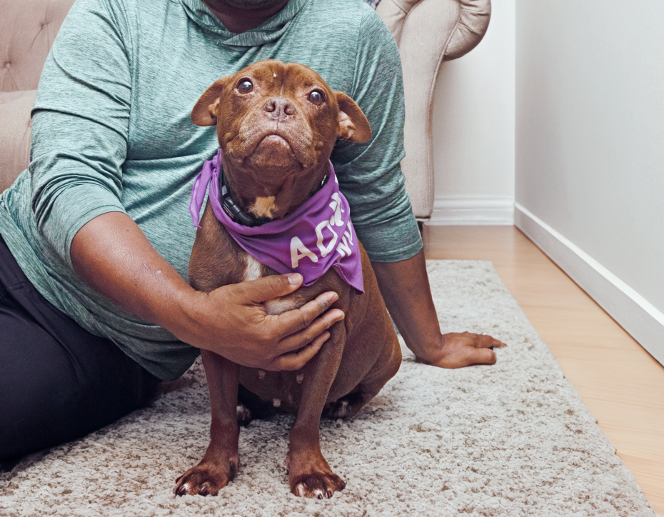 Person relaxing on the floor in a home with a dog