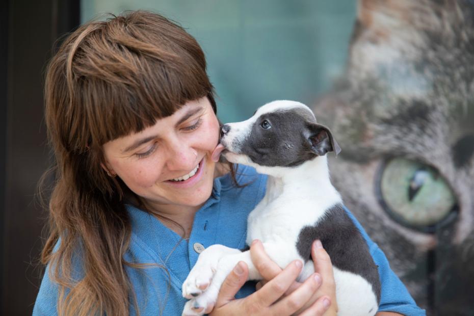 Person holding a puppy who is licking her cheek