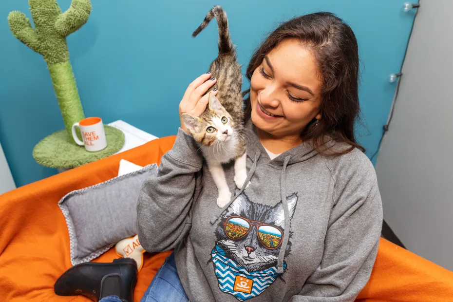Person holding a tiny kitten on their shoulder