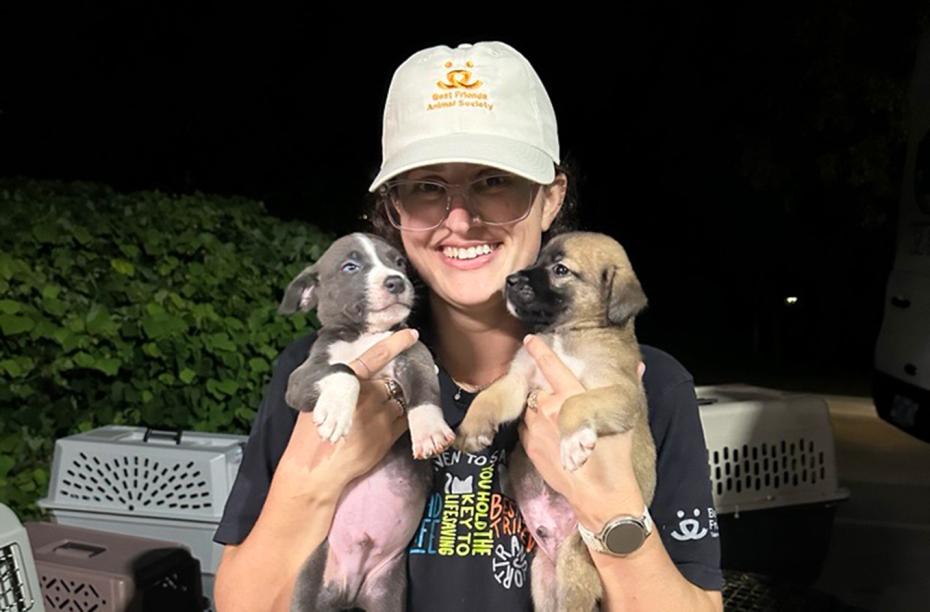 Person holding two puppies