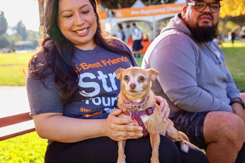Smiling person sitting with their small dog at a dog walking event