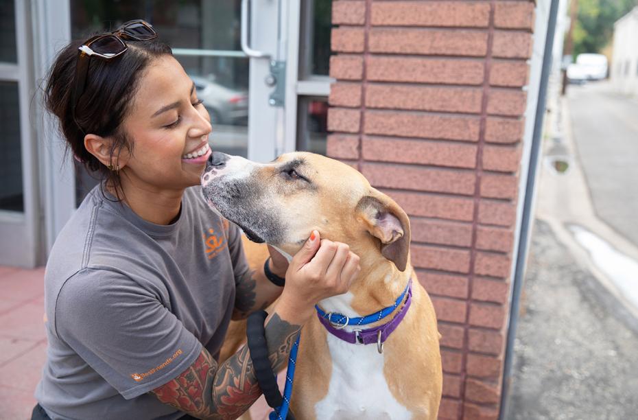 Person wearing Best Friends T-shirt petting a dog