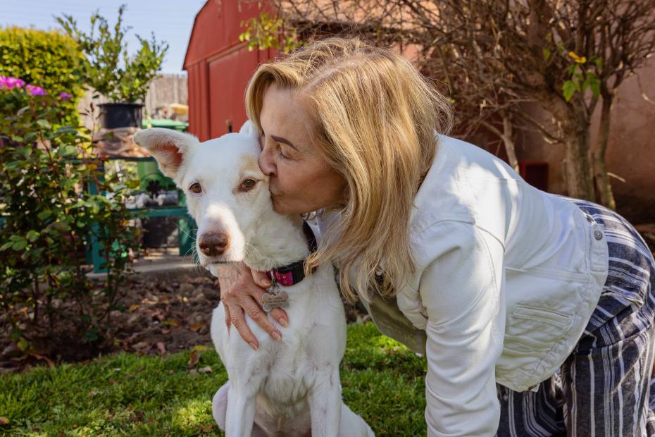 Person hugging a dog in a yard