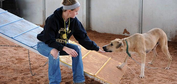 Woman using positive reinforcement to train a shelter dog