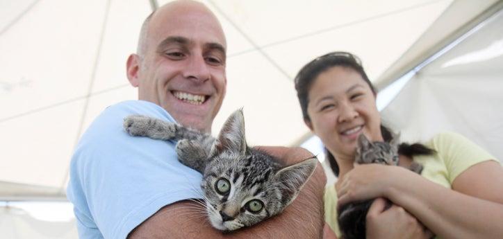 Man and woman who adopted two cats at an animal rescue group&#039;s adoption event