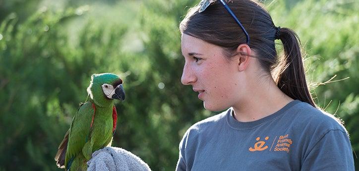 person holding a parrot engaging in a bird training session