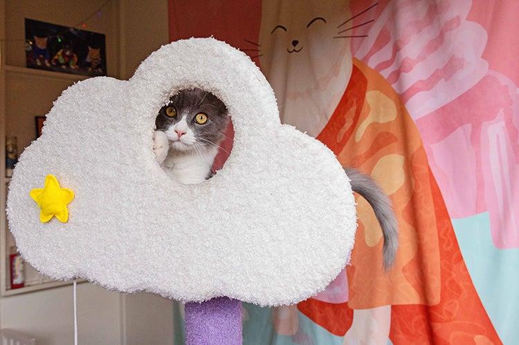 Cat in a cloud shaped formation part of a cat tree, peeking out a round hole
