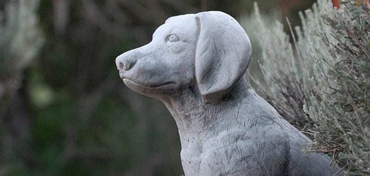 side profile of a stone dog statue that was put up in memory after pet loss