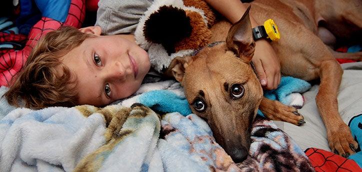 Girl and her dog in bed. There are kids and pets considerations to keep everyone safe and happy.