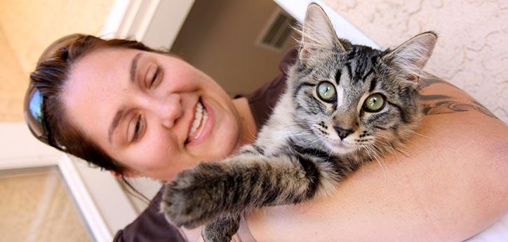 Woman holding her tabby cat with liver disease (feline hepatic lipidosis)