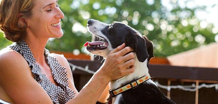 Dog and woman looking into each other's eyes.