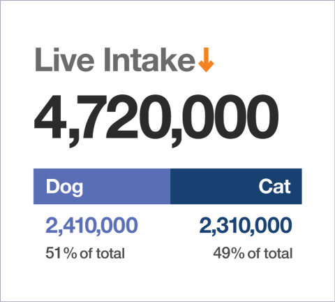 Live Intake graphic