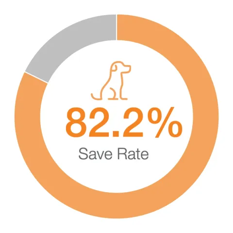 Save rate circle graph with 82.2%