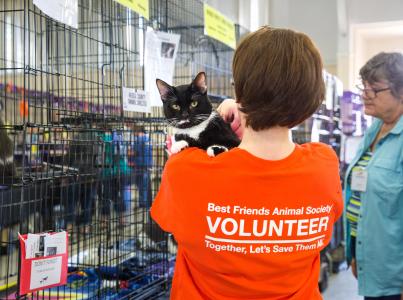 Person wearing orange Best Friends volunteer T-shirt holding a cat over her shoulder