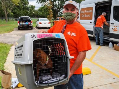Masked person wearing a volunteer T-shirt holding a crate with a dog in it in front of a transport van