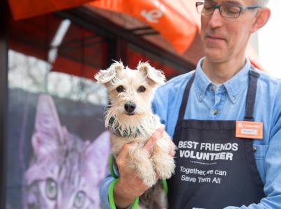 Volunteer holding a small dog outside