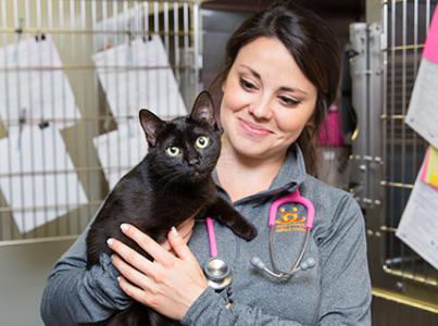 Smiling person wearing a stethoscope holding a black cat in front of kennels