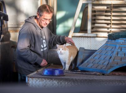 Person petting a community cat next to a cat food bowl