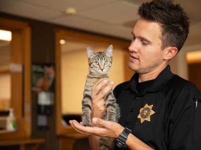 Person wearing a badge, like an animal control officer, holding a tabby kitten