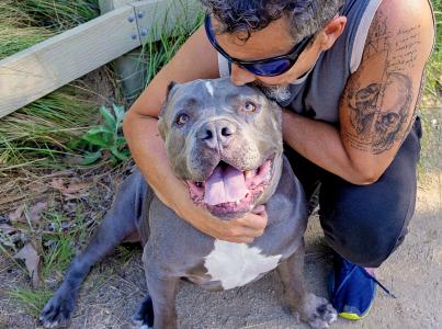 Man hugging large dog outdoors