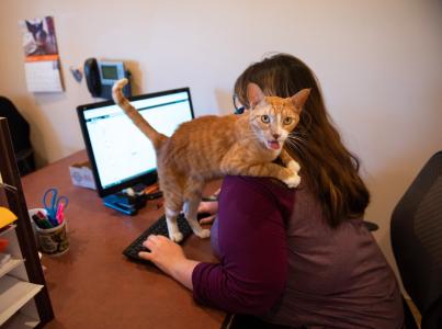 Person working on a computer with a cat standing on her shoulder