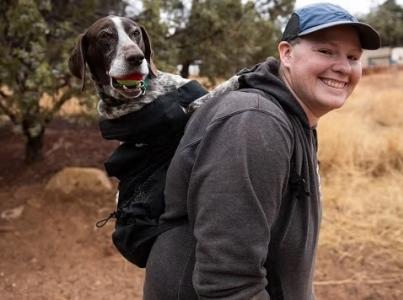 Dog sitting in a person's backpack.