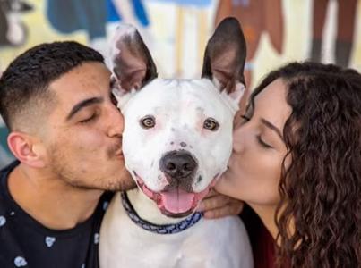Couple kissing their dog.