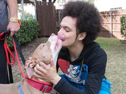 Man reunited with his dog.