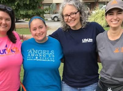 Transport group of a rural shelter