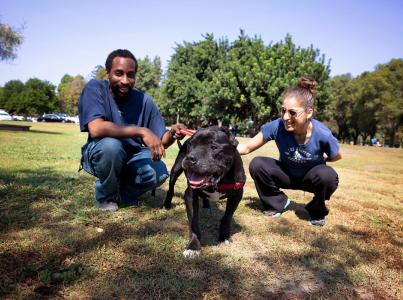 Man and woman petting a dog in a field