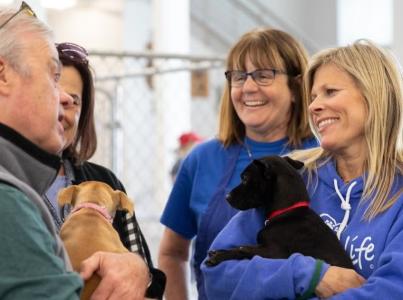 Group of four chats at a shelter, holding puppies.