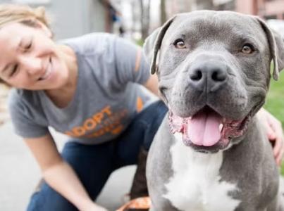 Woman in Best Friends shirt "Adopt" smiling at a dog.