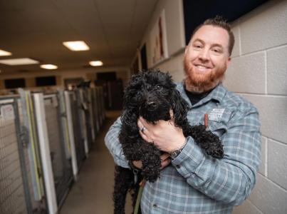 Shelter employee holding a dog in the kennels.