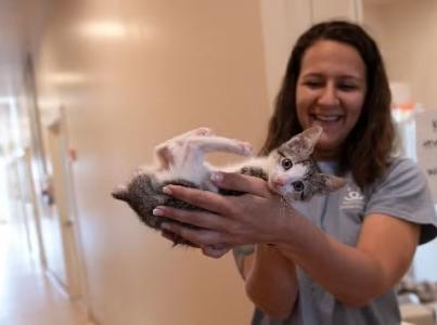 Smiling shelter worker holding up a kitten